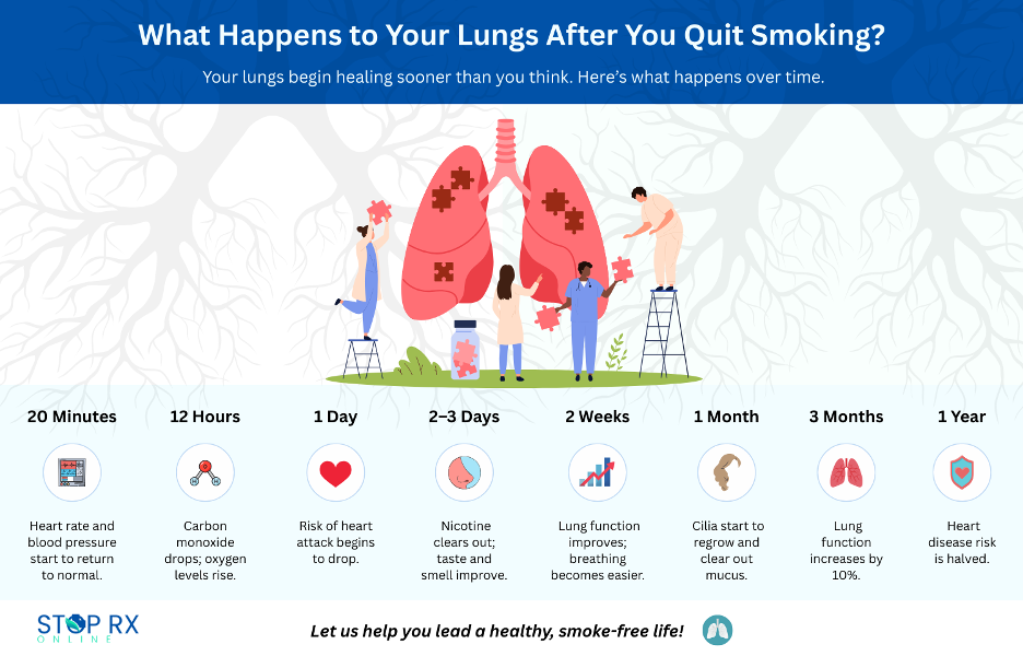A timeline on what happens to your body after you quit smoking.